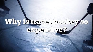 Why is travel hockey so expensive?
