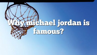 Why michael jordan is famous?