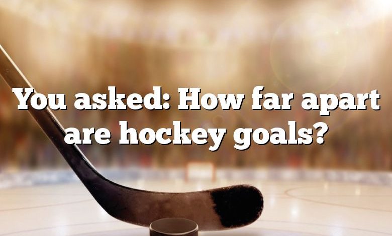 You asked: How far apart are hockey goals?