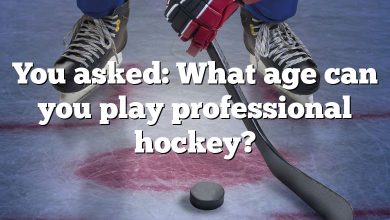 You asked: What age can you play professional hockey?