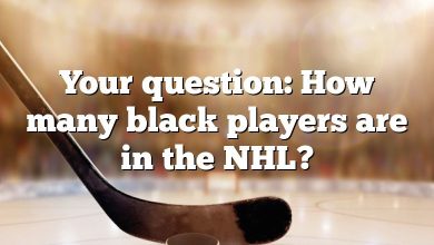 Your question: How many black players are in the NHL?