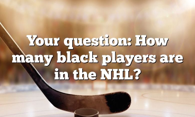 Your question: How many black players are in the NHL?