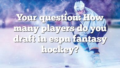 Your question: How many players do you draft in espn fantasy hockey?