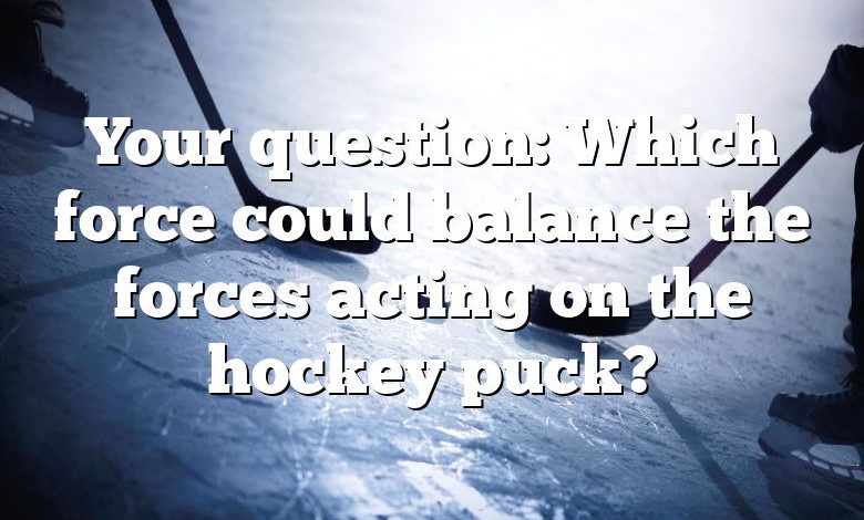 Your question: Which force could balance the forces acting on the hockey puck?